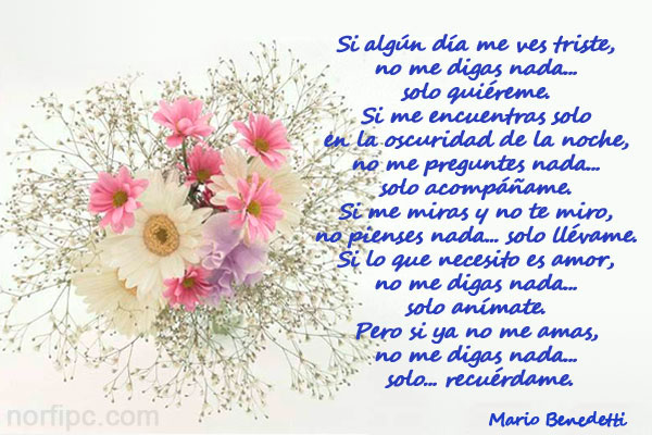 versos de amor